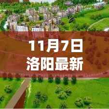 洛阳新篇章,干部公示日揭示的小欢喜与友情温暖