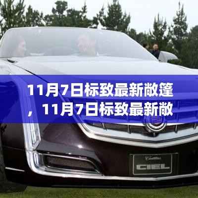 11月7日标致最新敞篷车亮相,时尚与技术的完美融合惊艳全场