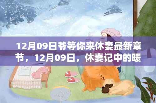 12月09日休妻记,暖阳日常与爱的纽带最新章节已更新