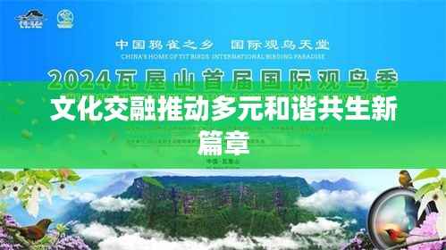 文化交融推动多元和谐共生新篇章