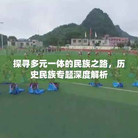 探寻多元一体的民族之路，历史民族专题深度解析