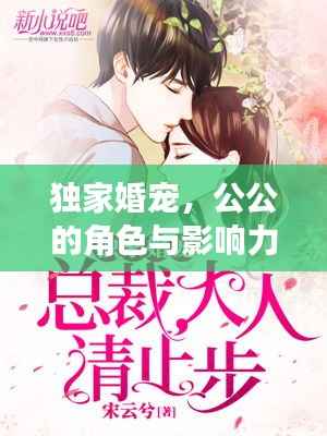 独家婚宠,公公的角色与影响力分析