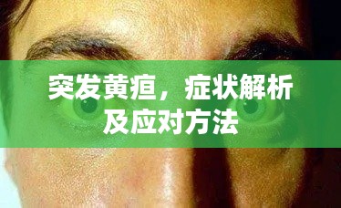 突发黄疸,症状解析及应对方法