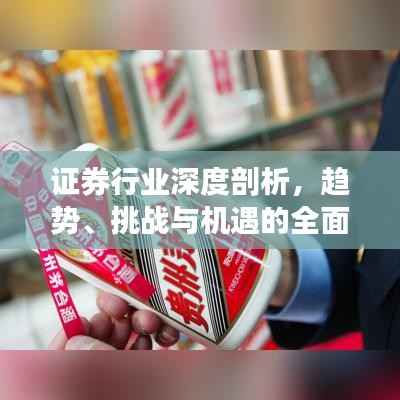 证券行业深度剖析,趋势、挑战与机遇的全面解读