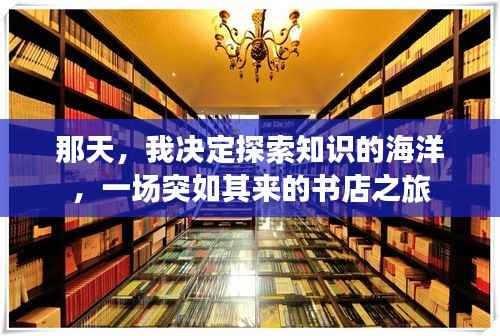 那天,我决定探索知识的海洋,一场突如其来的书店之旅