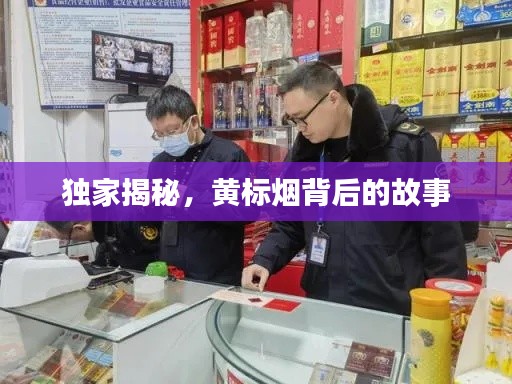 独家揭秘,黄标烟背后的故事