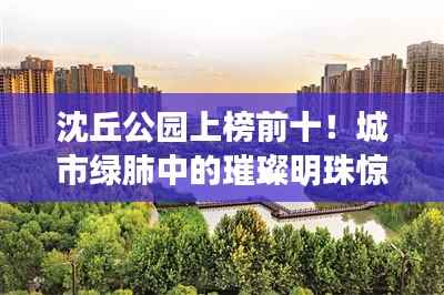 沈丘公园上榜前十!城市绿肺中的璀璨明珠惊艳亮相!