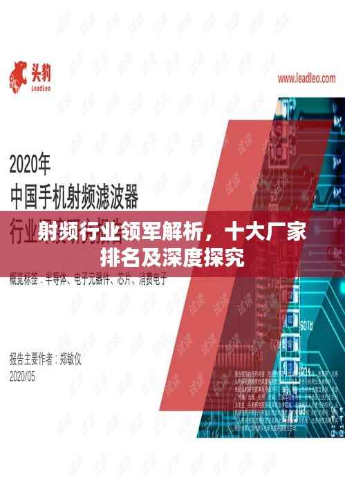 射频行业领军解析,十大厂家排名及深度探究