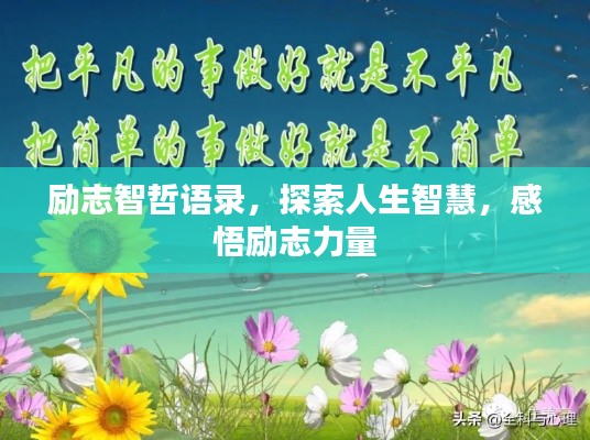 励志智哲语录,探索人生智慧,感悟励志力量