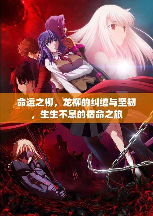 命运之柳,龙柳的纠缠与坚韧,生生不息的宿命之旅