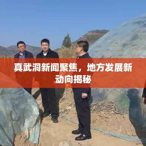 真武洞新闻聚焦，地方发展新动向揭秘