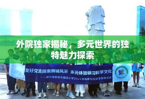 外院独家揭秘,多元世界的独特魅力探索
