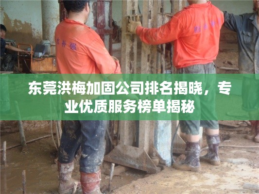东莞洪梅加固公司排名揭晓,专业优质服务榜单揭秘