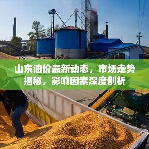 举步如飞 第2页