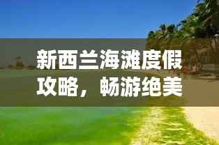 新西兰海滩度假攻略,畅游绝美海岸线