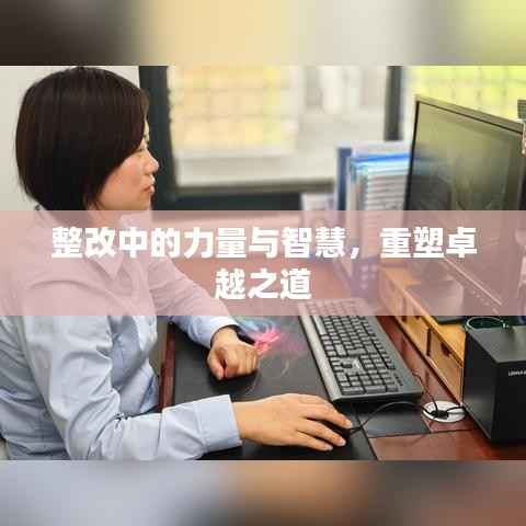 整改中的力量与智慧,重塑卓越之道